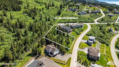 2-NHNMANORWOODPOINTEDRIVE_ZHMDRONE_02