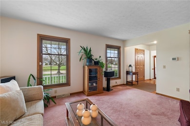 Carpeted living room featuring a textured ceiling and baseboards