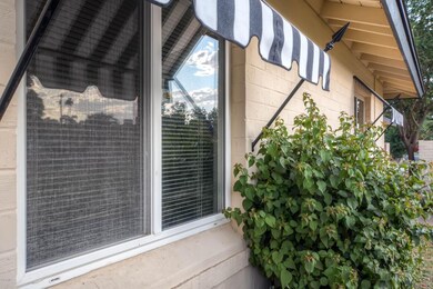 Dual-Pane Windows and Awnings