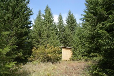 Shed & Timber