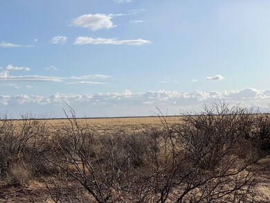 Bahia Rd, Deming, NM 88030 - photo 7