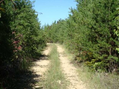 0 Slink Shoals Rd unit 3257290, Linden, TN 37096 - photo 3