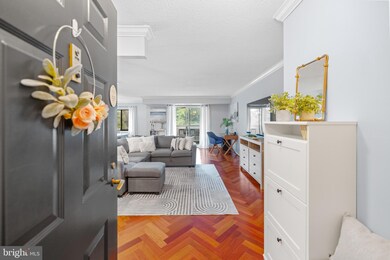 5901 Mount Eagle Dr unit 215, Alexandria, VA 22303 - photo 3