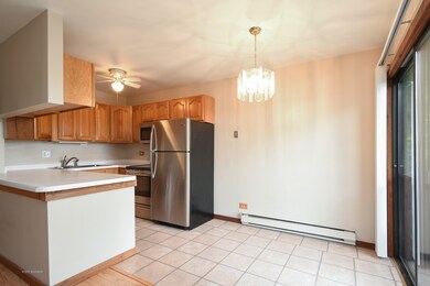 55 Vail Colony unit 9, Fox Lake, IL 60020 - photo 4