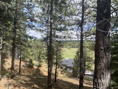 View of the valley through the pines