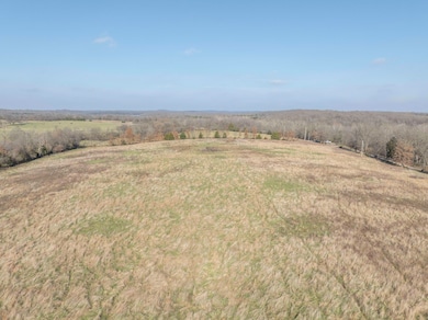 26 Ac U S 160, Greenfield, MO 65661 - photo 7