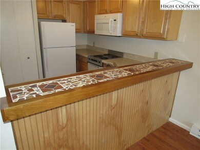 128 Zeb St unit 208, Boone, NC 28607 - photo 3