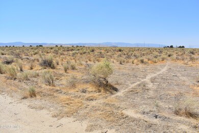 0 105th St West & Ave B2 unit 24000026, Antelope Acres, CA 93536 - photo 3