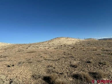 Parcel 10 Hidden Mesa Rd, Austin, CO 81410 - photo 4