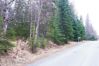 Totem 5