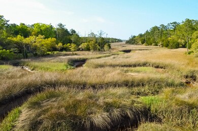 730 Darrell Creek Trail, Mount Pleasant, SC 29466 - photo 2