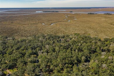 201 Saint Annies Ln, St. Simons, GA 31522 - photo 4