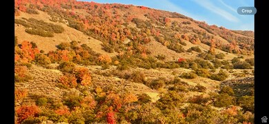 1730 250 N unit 23-R, Fruit Heights, UT 84037 - photo 4