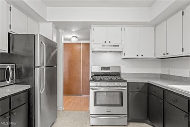 1105 Canyon View Rd unit 106, Northfield, OH 44067 - photo 5