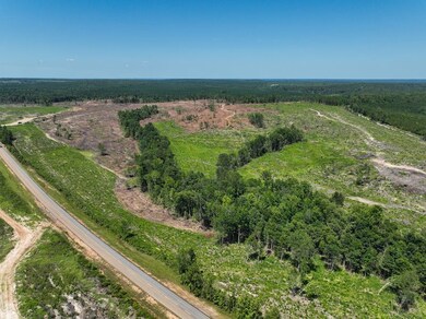 0 Hwy 112 unit 25649022, Toomsboro, GA 31090 - photo 3