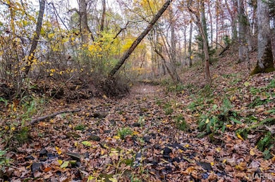 View of undeveloped land