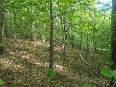 Lot 7 Mountain Rd, South Berwick, ME 03908 - photo 6