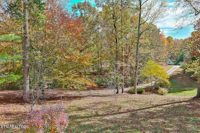 PeachTree-7