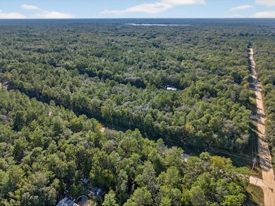 Drone / aerial view of a forest