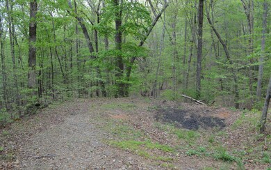 Additional View