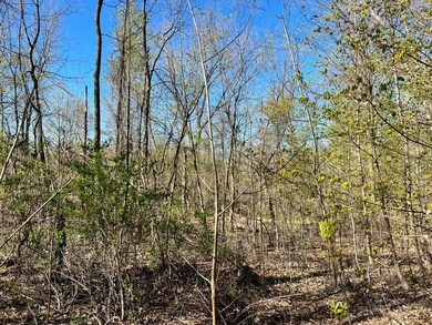 8249 Parcel C M-139, Berrien Springs, MI 49103 - photo 3