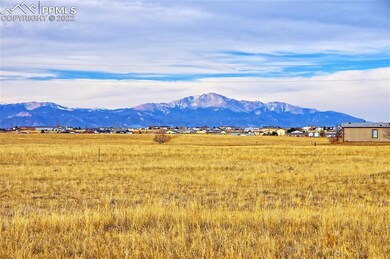 6355 Fieldview Way, Peyton, CO 80831 - photo 3