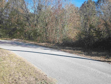 TBD Hwy 365 S Dr, Little Rock, AR 72206 - photo 2