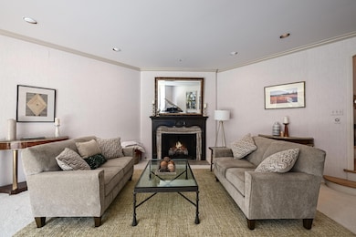 Living room - new gas fireplace