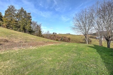 18865 Horton Hwy, Fall Branch, TN 37656 - photo 4