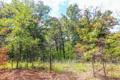 22 Belle Starr, Eufaula, OK 74432 - photo 4