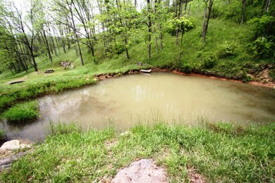 Pond