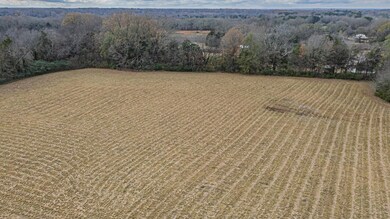 0 Feathers Chapel Dr unit 10210471, Somerville, TN 38068 - photo 3