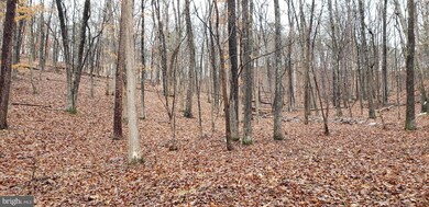 17 Cedar Tree Ln, Moorefield, WV 26836 - photo 6