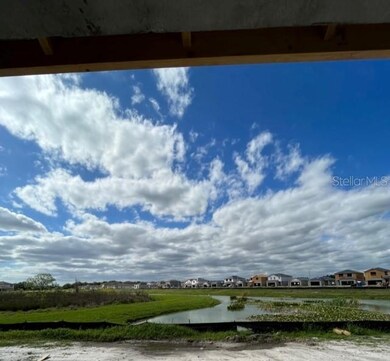 35732 Buttonweed Trail, Zephyrhills, FL 33541 - photo 4