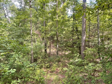 00 Carver Point Rd, Coffeeville, MS 38922 - photo 2