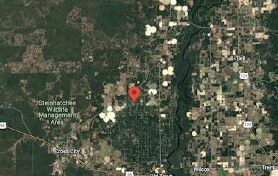 0 NE 472nd Ave, Old Town, FL 32680 - photo 7