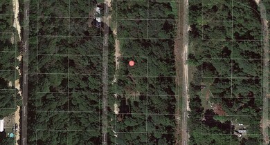 0 Chestnut Dr, Harleton, TX 75651 - photo 2