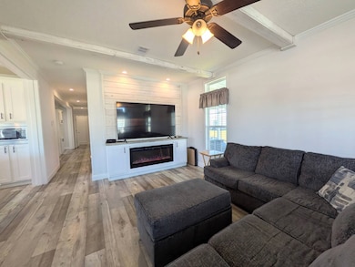 34870 Minnow Ln, Zephyrhills, FL 33541 - photo 3