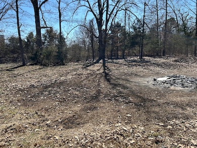 30 Bittersweet Dr, Highland, AR 72542 - photo 3