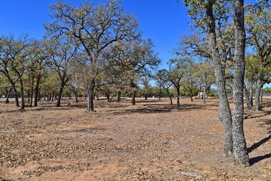 2042 Stone Meadow unit 373, Fredericksburg, TX 78624 - photo 4