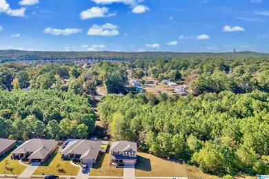 325 Union Dr, Montevallo, AL 35115 - photo 6