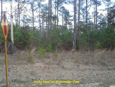 7363 Hucks Rd, Conway, SC 29526 - photo 5