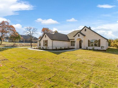 1144 Horizon Trace Dr, Boyd, TX 76023 - photo 3