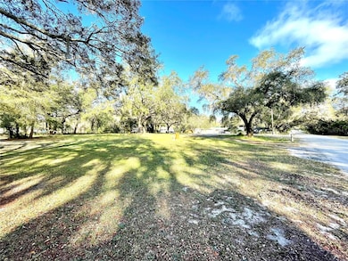 14820 N 15th St, Lutz, FL 33549 - photo 4