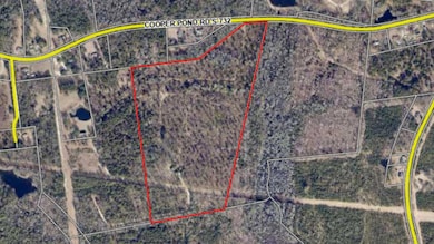 00 Cooper Pond Rd, Salley, SC 29137 - photo 5