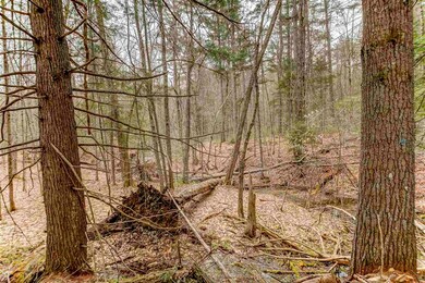 00 Hurricane Mountain Rd, North Conway, NH 03860 - photo 6