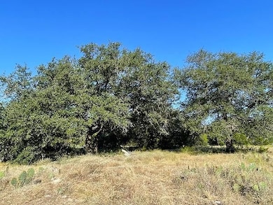 4547 County Road 108, Burnet, TX 78611 - photo 3