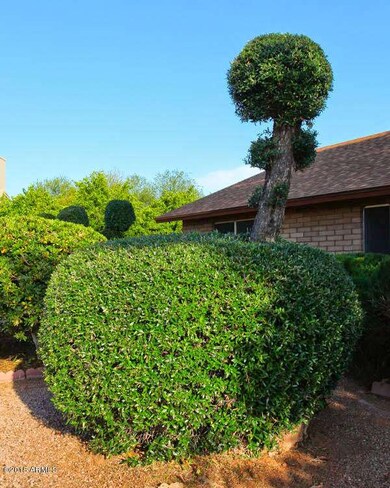 frontr side tree