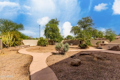amazing yard