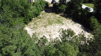 25002 Rhett Butler Ct, Tomball, TX 77375 - photo 2